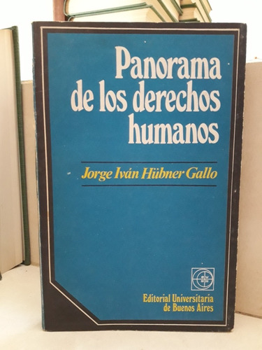 Panorama De Los Derechos Humanos. Jorge I. Hübner Gallo