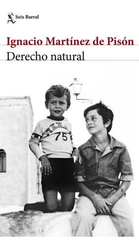 Derecho Natural, De Ignacio Martínez De Pisón. Editorial Grupo Planeta, Tapa Blanda, Edición 2017 En Español