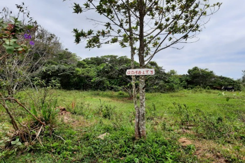 Imagem 5 de 12 de Terreno De 250 Metros Á Duas Quadras Do Mar Em Itanhaém No Litoral Sul De Sp