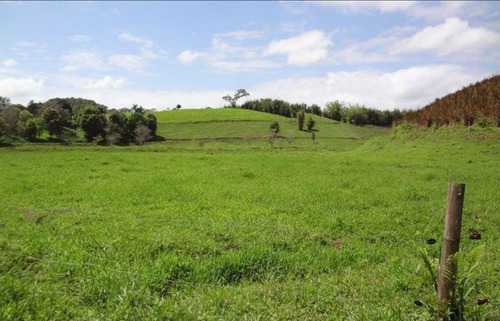Imagem 3 de 6 de Fazenda - Fa00005 - 68142250