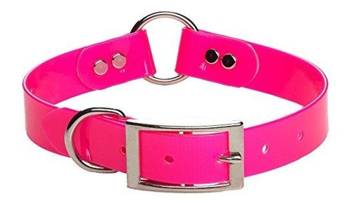 Mendota Pet Dog Safety Collar, Orange, 1 X 16-