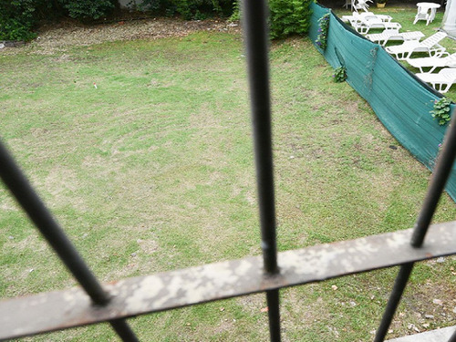 Imagen 7 de 8 de Local Con Renta En Colonia Ref. 6462 (ref: Cbr-941)