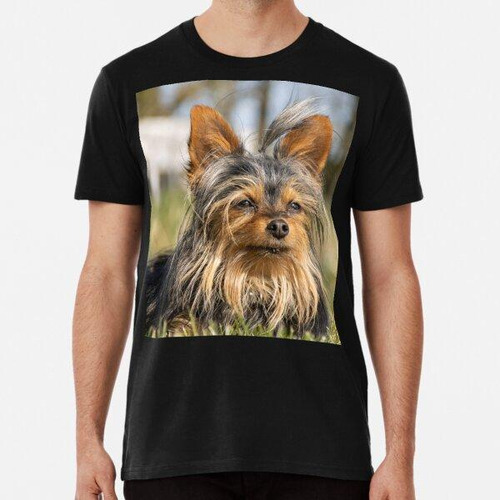 Remera Adorable Cachorro Chihuahua-yorkshire Terrier Algodon