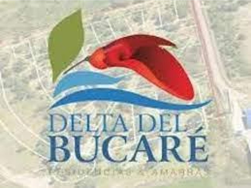 Delta Del Bucare - Monje - Lote 28