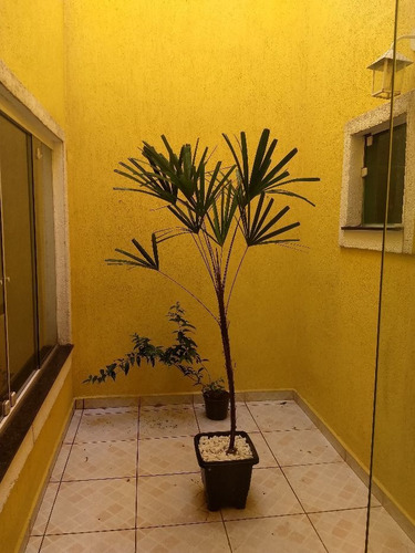 Casa À Venda Na Rua Antônio Juvenal, Vila Matilde, São Paulo - Sp - Liv-11899