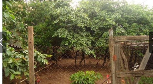 Casa Com 2 Quartos Para Comprar No Betânia Em Belo Horizonte/mg - 1523