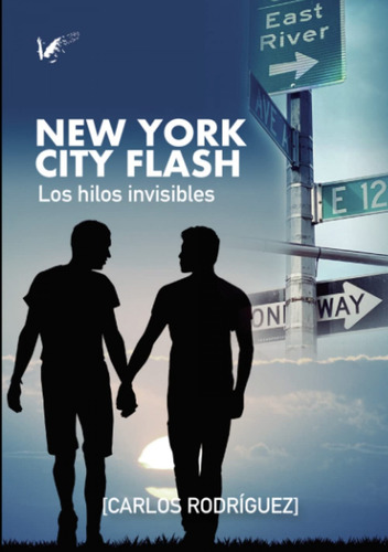 Libro New York City Flash