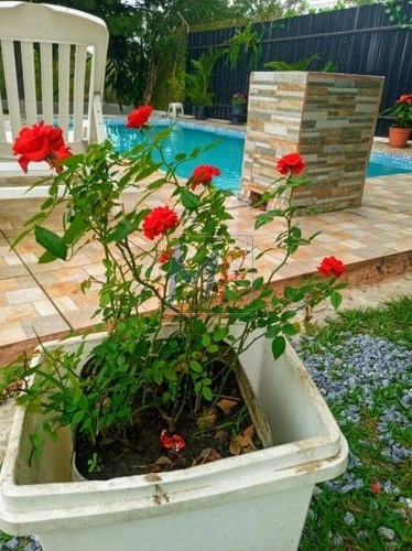 Imagem 8 de 30 de Ref 13.019 -bela Chácara No Bairro Éden - Sorocaba, Com 5 Dorms (2 Suítes), Área De Churrasco, Sala, Piscina, 10 Vagas, 1500 M² De Terreno. - 13019