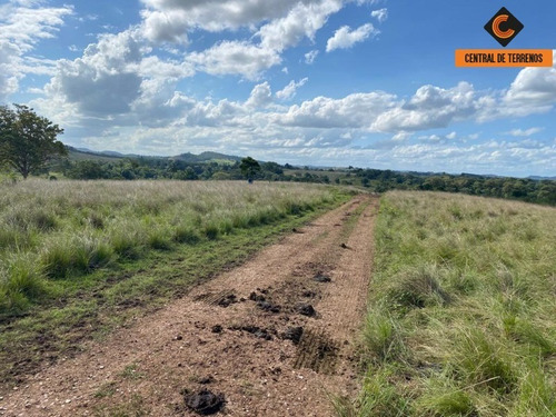 Imagem 2 de 11 de Terreno A Venda Na Br 324 - Candeias - Bahia - Te00432 - 69441404