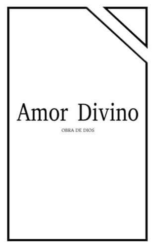 Libro : Amor Divino - Mazzei, Gladys E