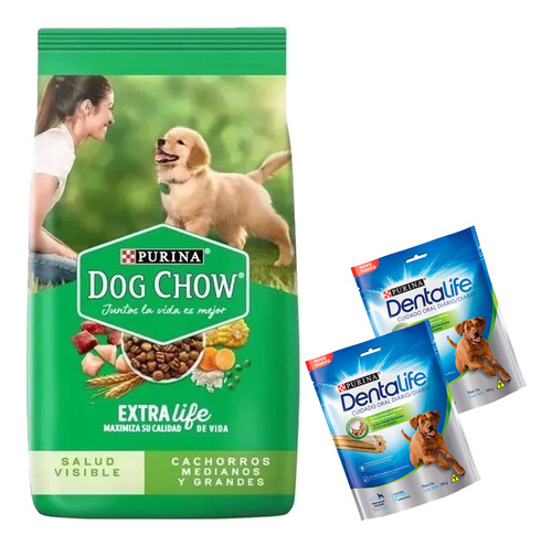 Comida Perro Cachorro Dog Chow 24 Kg + Regalo + Envío Gratis