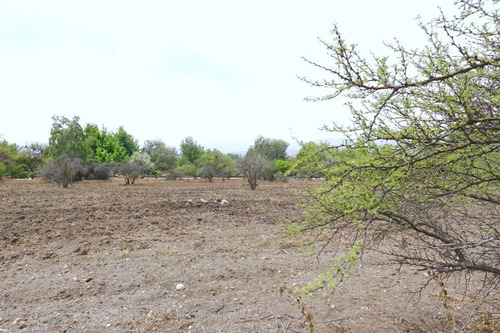 Sitio Hacienda Chicureo