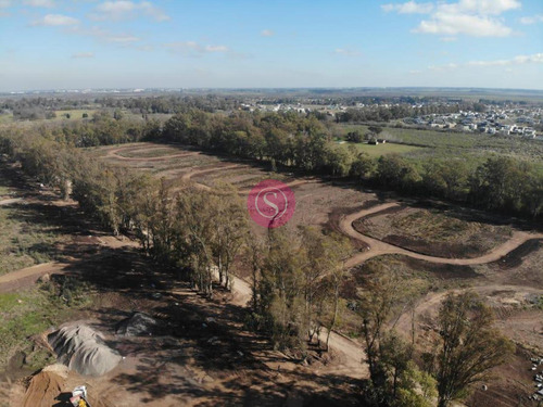 Terreno En Venta En  Santa Sofia Pilar Del Este