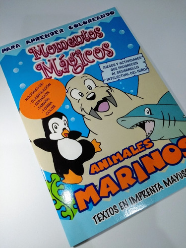 Libro Infantil Para Aprender Coloreando Momentos Magicos