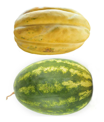 Mix 100 Semillas De Melón Sandía Criollos