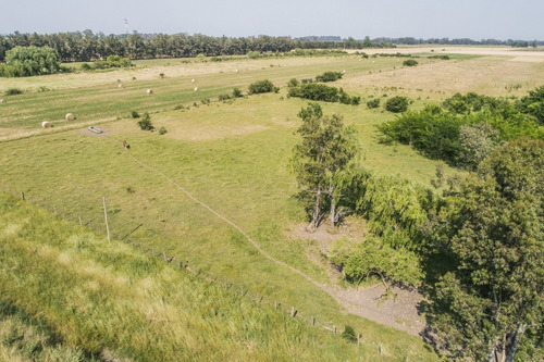 Chacras Venta 4,7 Has Residenciales-productivas Carmelo