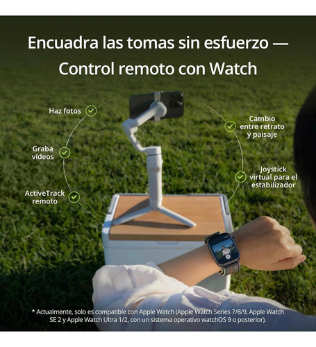 Estabilizador Para Celular Dji Osmo 6 Color Grafito (Usado)