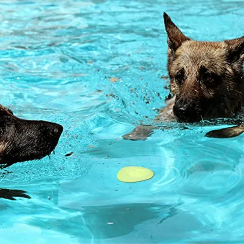 Juguetes Para Perros Skip Nn Fetch | Stonne Skipping Se Encu