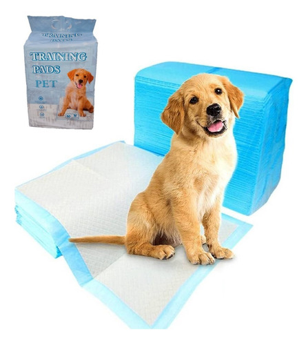 Pañal Para Perros De Piso Entrenamiento Absorbente 50 Unids