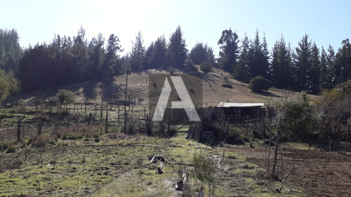 Imagen 3 de 14 de Paredones, Vendo Predio Agrícola Forestal, 23,5 Hectáreas...