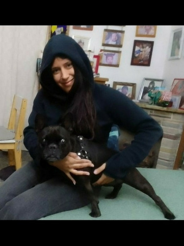 Imagen 5 de 5 de Pensionado Canino En Olivos Personalizado