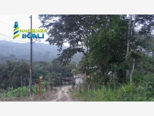 Imagen 10 de 10 de Terreno En Venta Arroyo Del Maiz