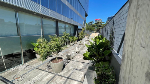 Imagen 19 de 28 de Alquiler Oficina 2770mts.2 En 2 Espectaculares Plantas De 1385mts - Florida - Vicente López