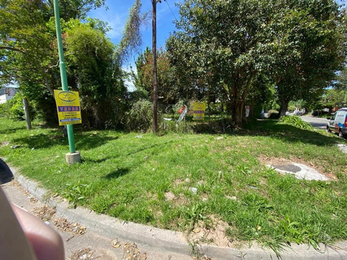 Imagen 3 de 5 de Excelente Terreno En Venta
