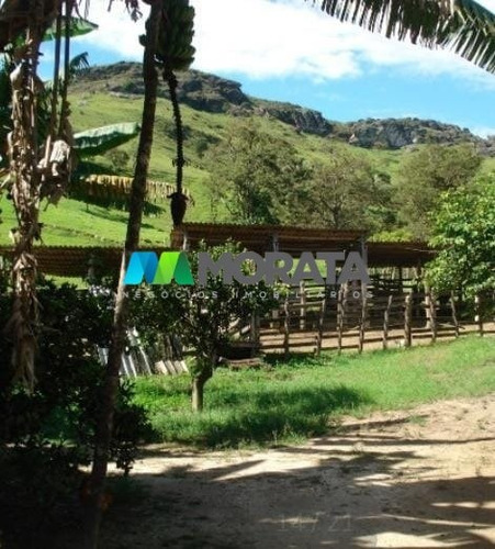 Imagem 14 de 15 de Fazenda - Zona Rural - Ref: 4818 - V-mta4818
