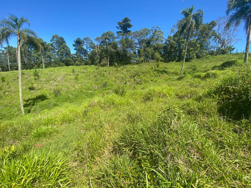 Imagem 4 de 12 de L35 Terreno Barato No Interior 1000m Apenas 45mil Á Vista