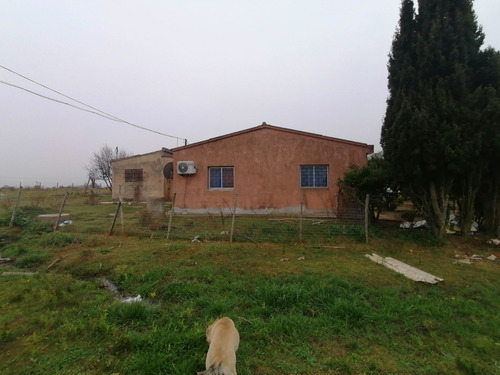 Imagen 15 de 20 de Chacra 4.5 Has Con 2 Casa En Venta - Ruta 66 Km 24 200 Toledo Chico