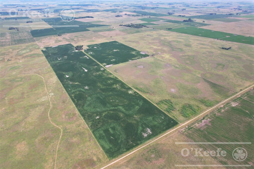 Campo En Venta Mixto De 246 Has En Saladillo