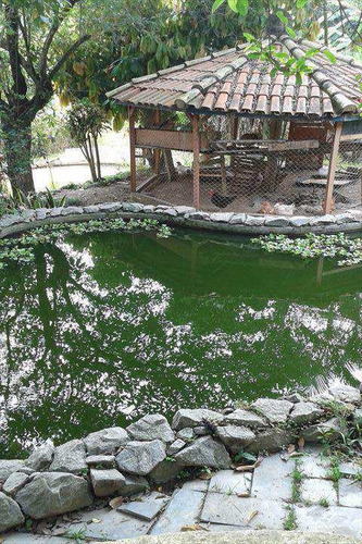 Imagem 7 de 30 de Casa Em Santana De Parnaíba Bairro Parque Mirante De Parnaíba - V15000