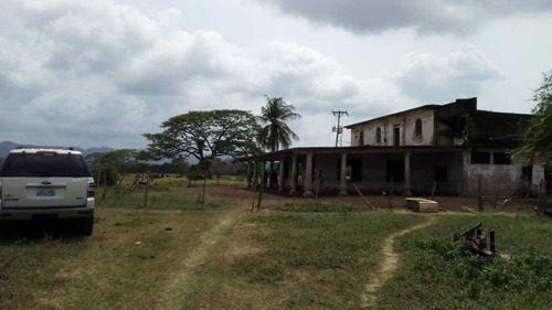 Imagen 12 de 15 de Finca En La Alegría En Yaracal Cerca De Tucacas