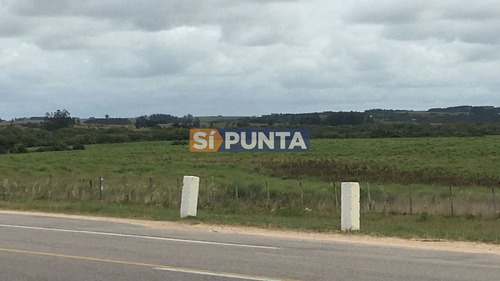 Imagen 11 de 13 de Campo En Garzón Venta Turístico