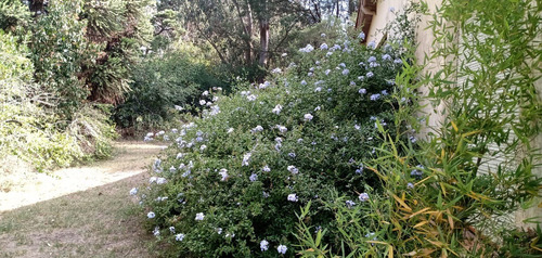 Imagen 17 de 28 de Casa Quinta En Sierras De Los Padres