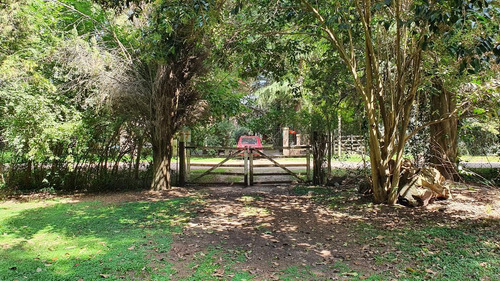 Imagen 24 de 30 de Casa Quinta 6 Amb Quincho Parrilla Pileta 5 Lotes Arbolados En Alejandro Petion Cañuelas