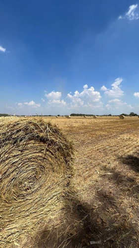 Imagen 17 de 19 de Campo En San Andres De Giles