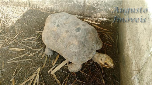 Imagem 29 de 29 de Chácaras À Venda Em Atibaia/sp - Compre O Seu Chácaras Aqui! - 1286061