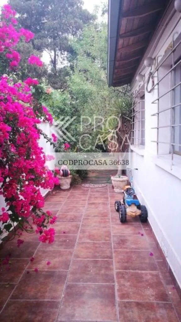 Imagen 5 de 8 de San Francisco (73947)