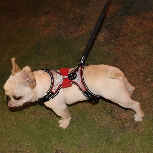 Newtensina 3 Piezas Pajaritas Bling Lindo Arnés Para Perro Y