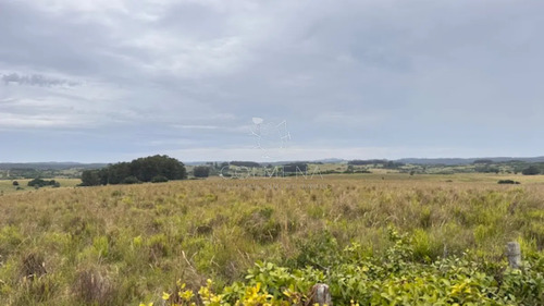 Campo 26 Has Sobre Camino Los Molles