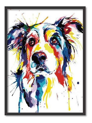 Quadro Colorido Cachorro Border Collie 003 Com Moldura Preta