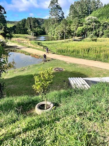Sítio Em Apiaí Sp Com 143,400m2 (6 Alqueires) Vendo Terreno Casa Urgente!