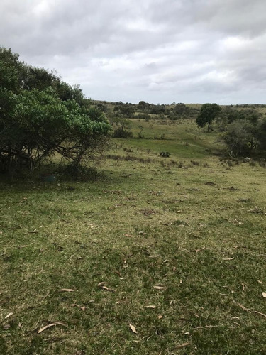 Imagen 6 de 9 de Buen Campo