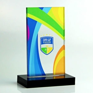 20 Troféu Personalizados 10x20 Em Acrílico Base 6mm Mdf 