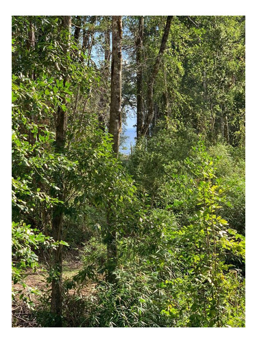 Imagen 6 de 10 de Exclusivo Sitio En Venta - Las Cascadas, Puerto Octay