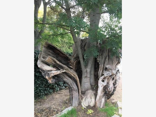 Imagen 3 de 12 de Terreno En Venta Las Bajadas