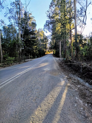 Parcelas Planas En Pichilemu, Orilla De Asfalto.