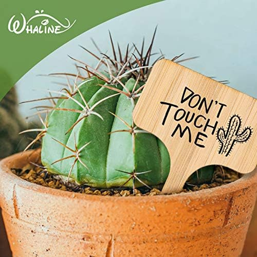 50 Etiquetas De Bambú Para Plantas Con Un Rotulador, Etiquet